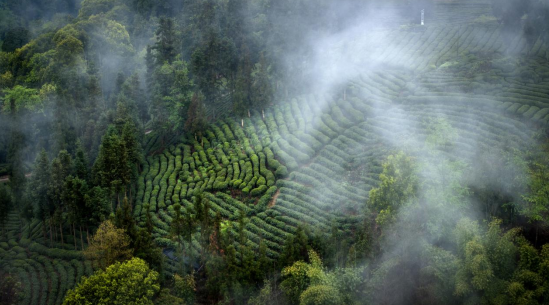 43BED592703D144B929AA5621F026801