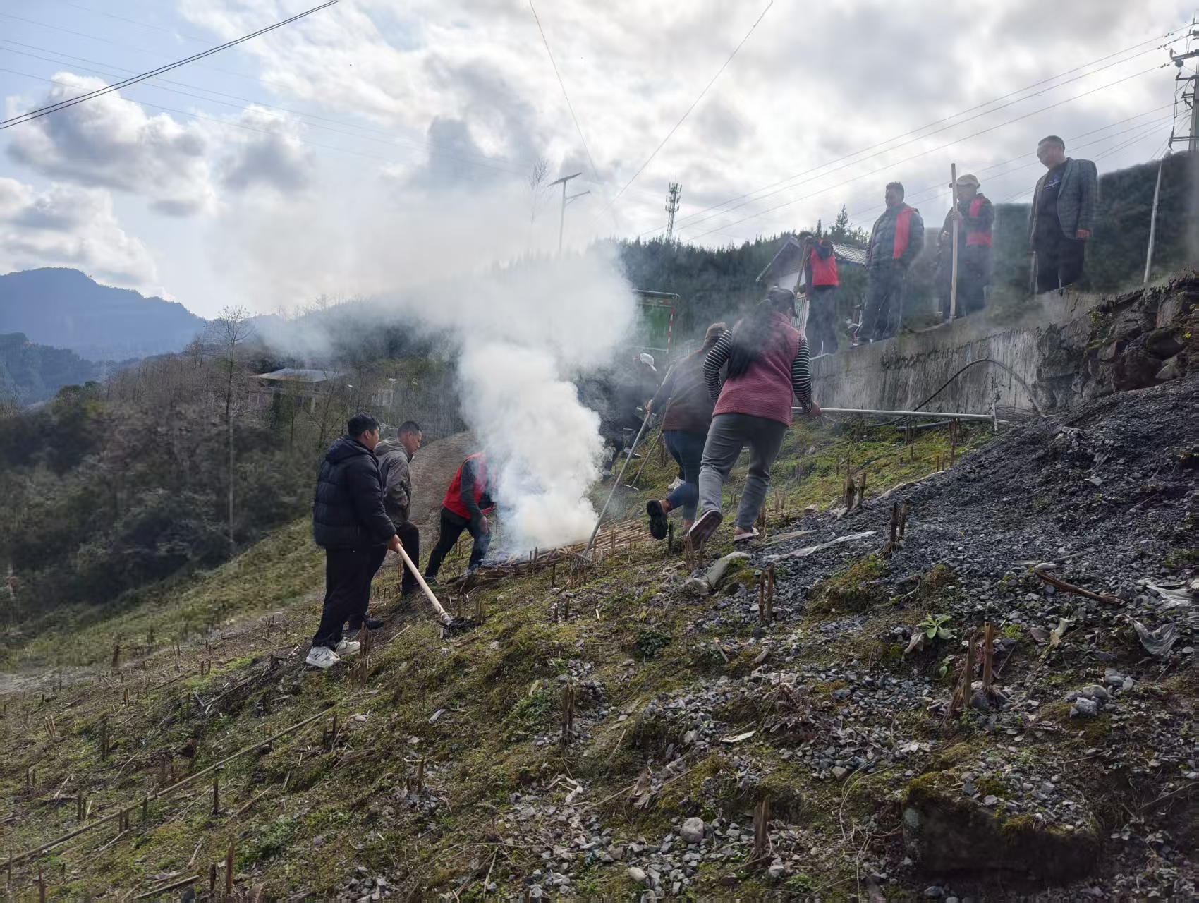 微信图片_20260226113116_3394_12