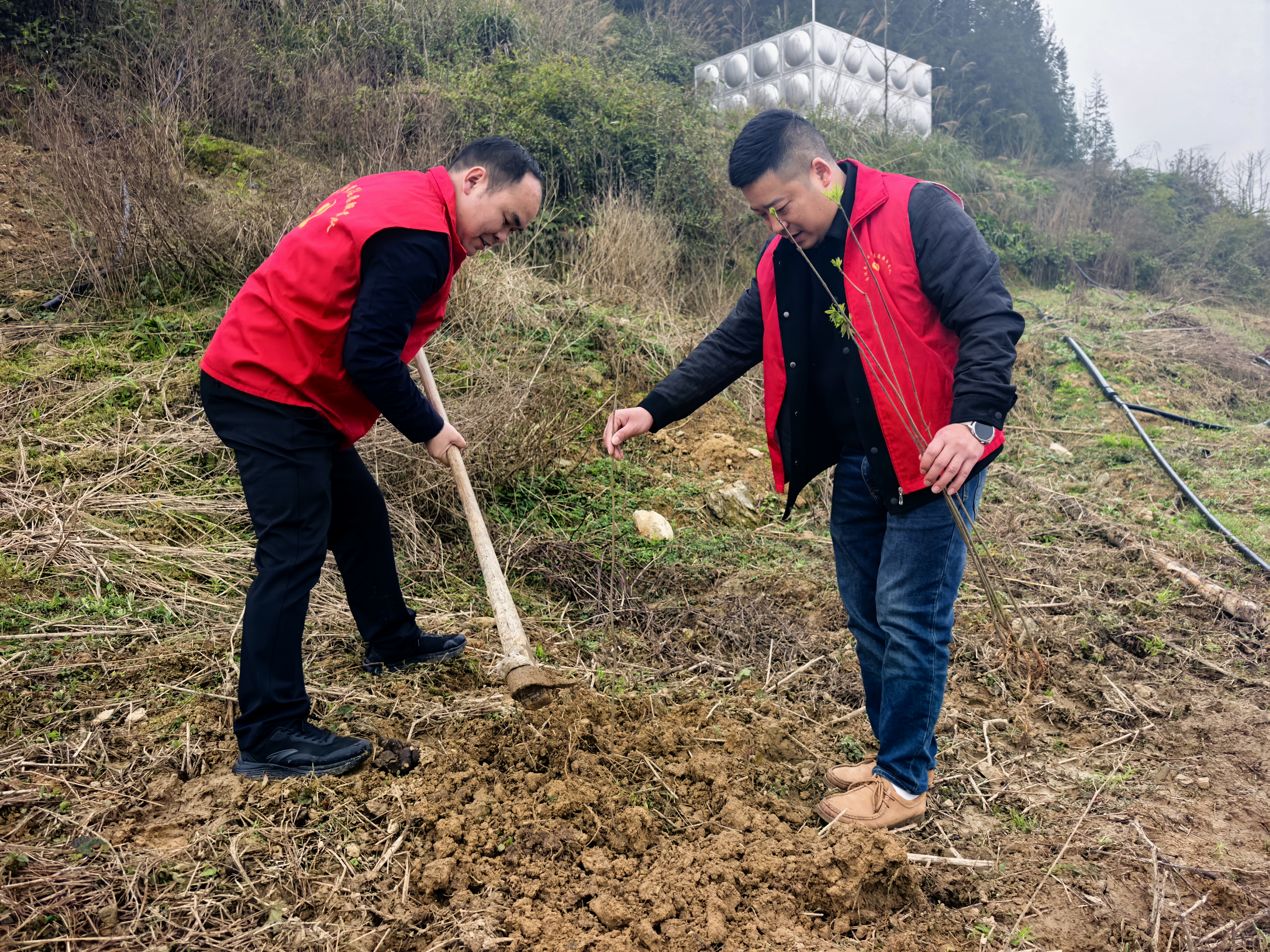 微信图片_20260312110031_2724_230