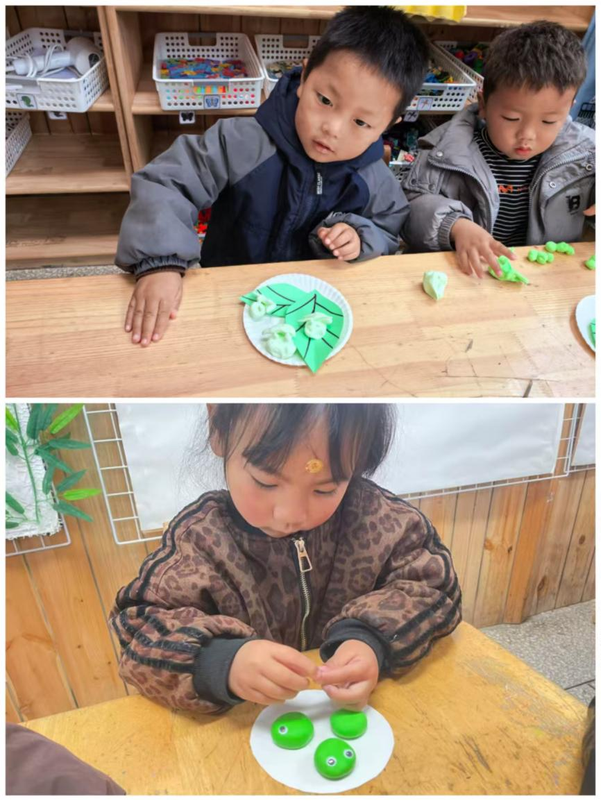 永乐幼儿园幼儿制作青团