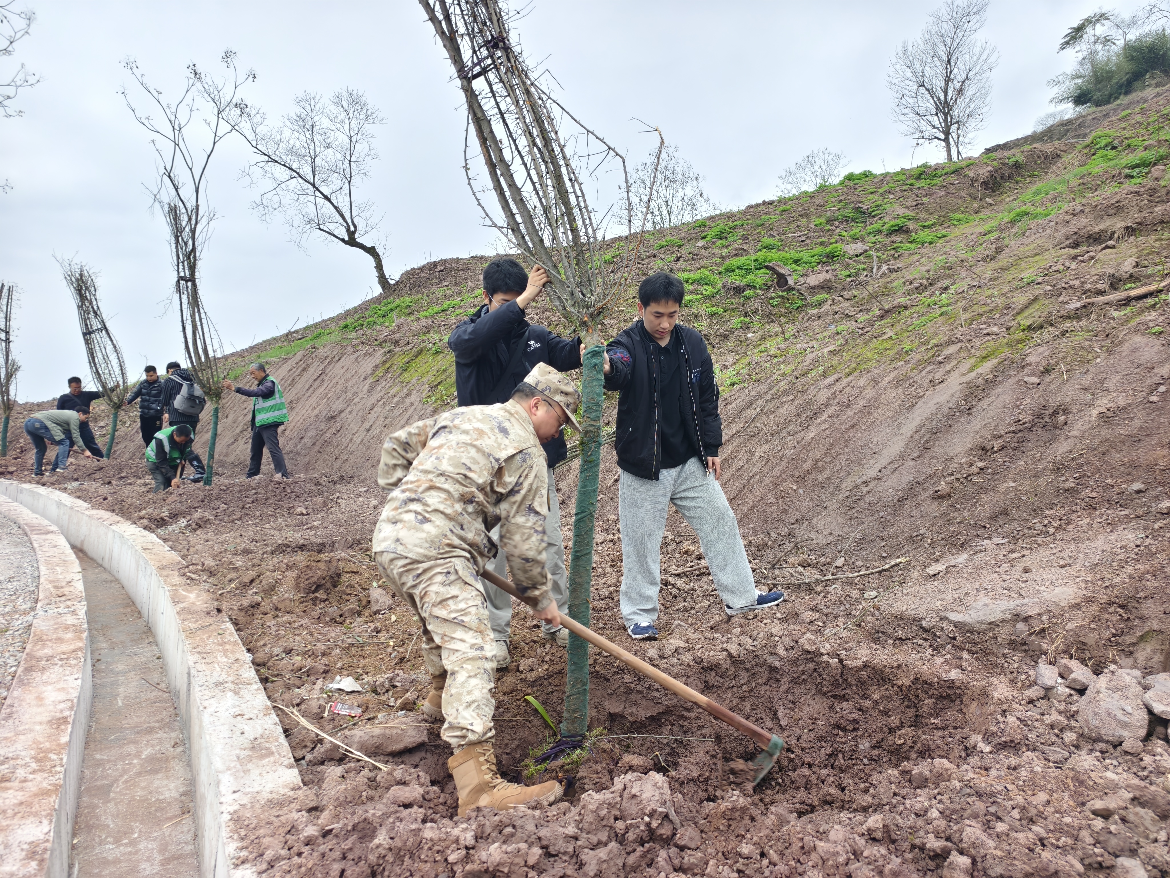 图片：民建镇参与全民义务植树活动3