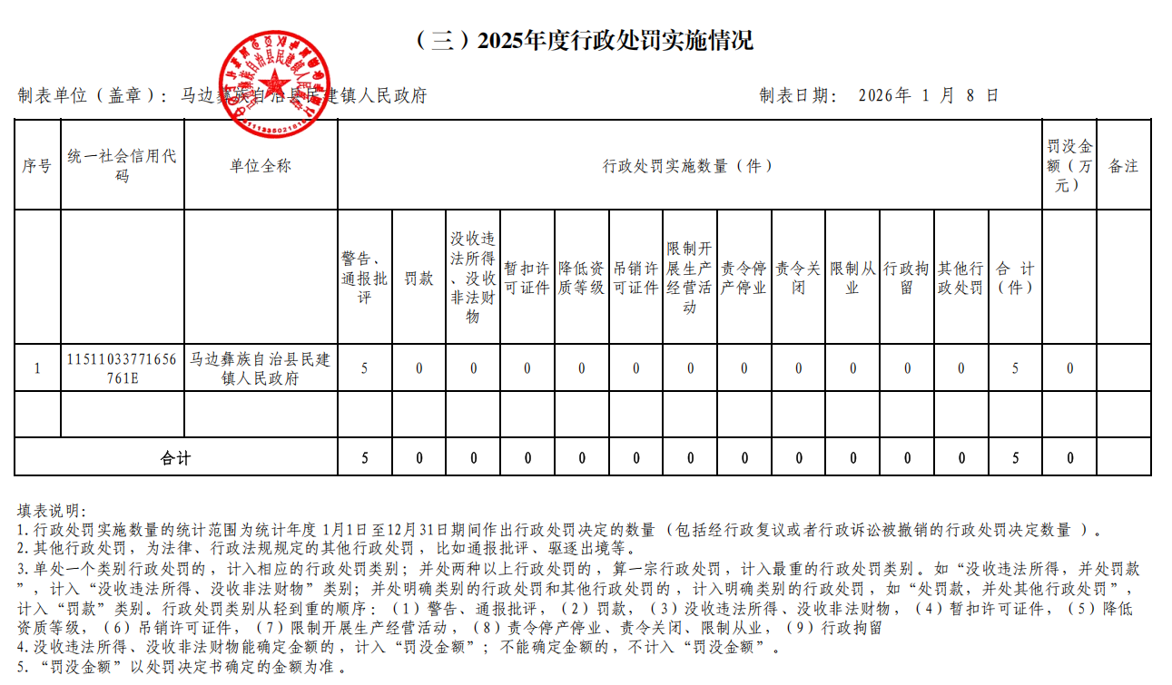 （三）2025年度行政处罚实施情况