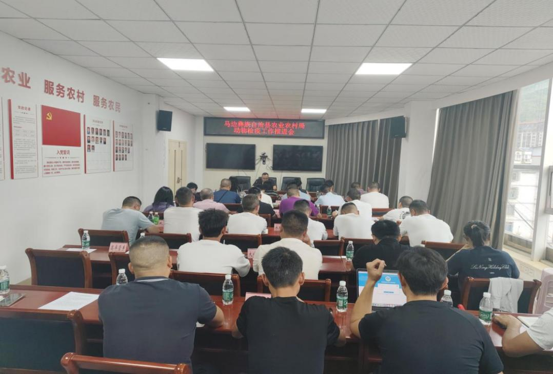 图片9