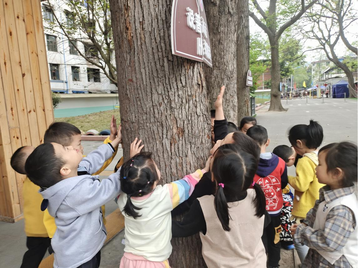 图片15