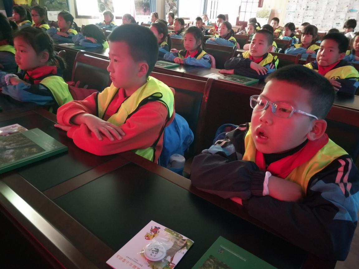 图片3