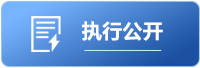 执行公开